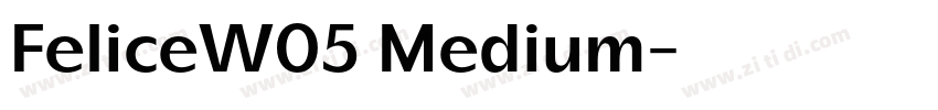 FeliceW05 Medium字体转换